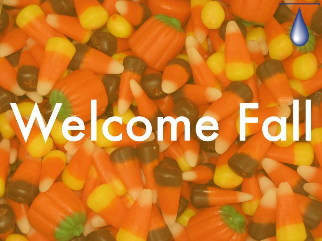 Temuss Products Canada Ltd.